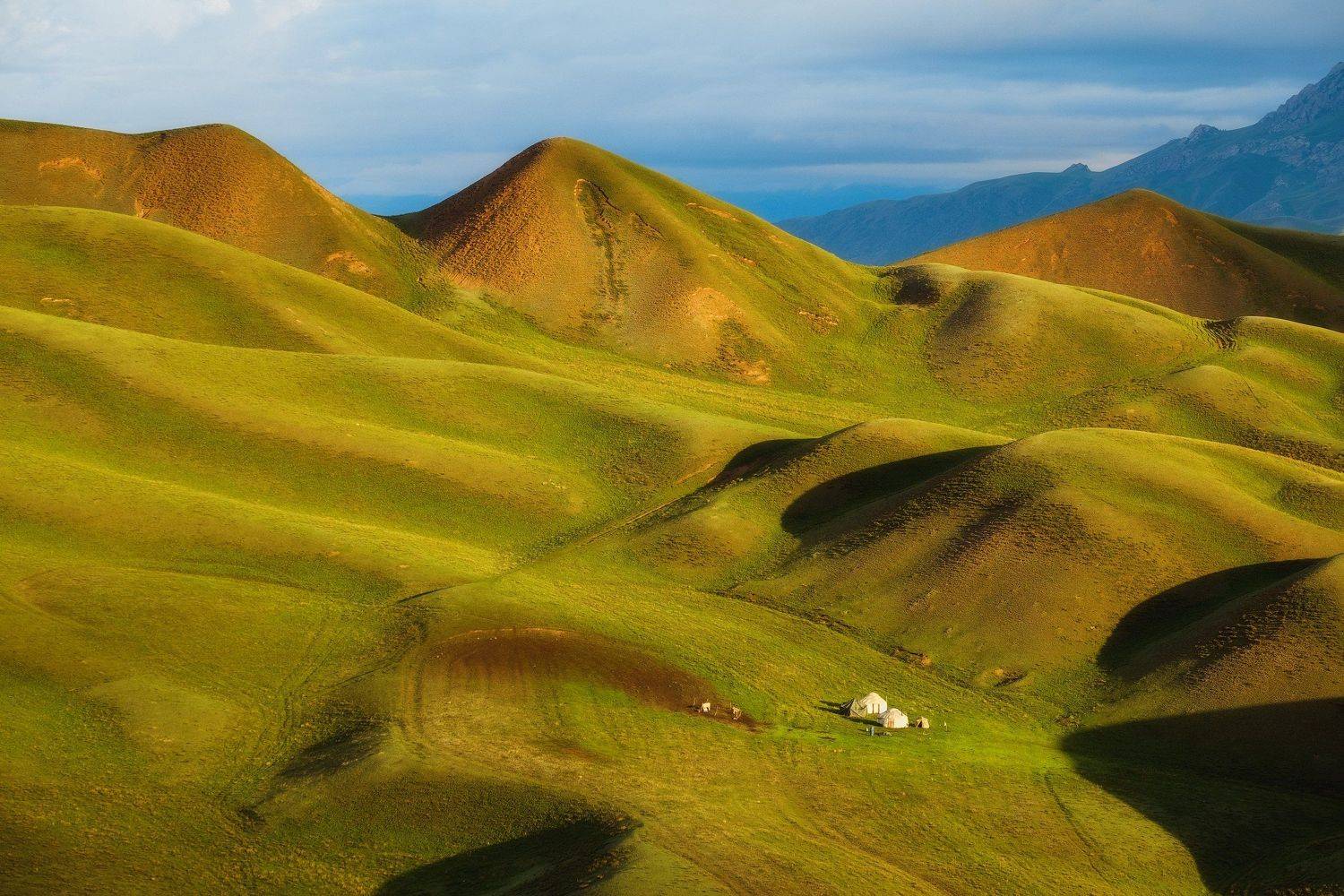 киргизия, кыргызстан, азия, горы, луг, скалы, пейзаж, весна, ущелье, джайлоо, пастбище, юрта, кочевник, Оборотов Алексей