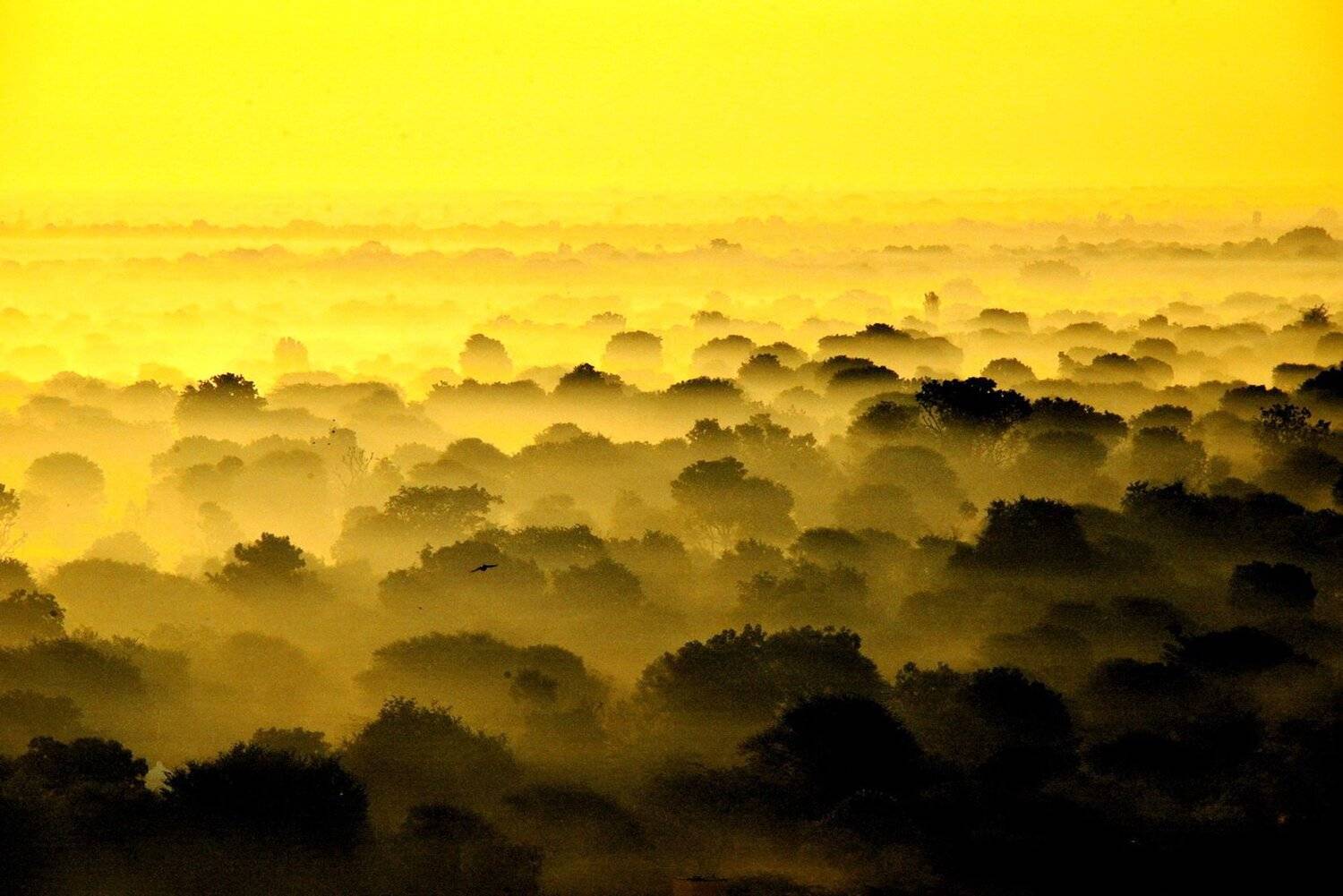 , Inkol Yu  유인걸