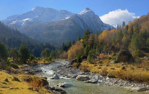 Осеннее утро