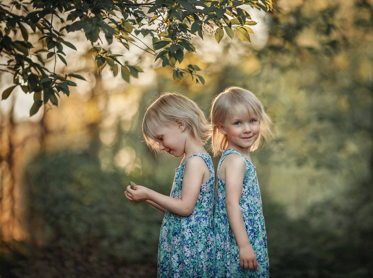 , Елена Силина