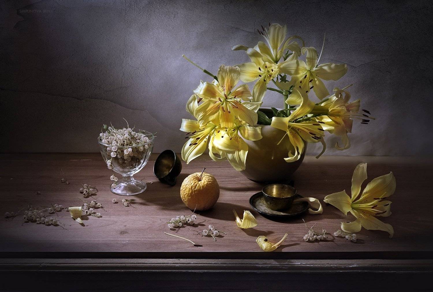 , Шипунова Ирина