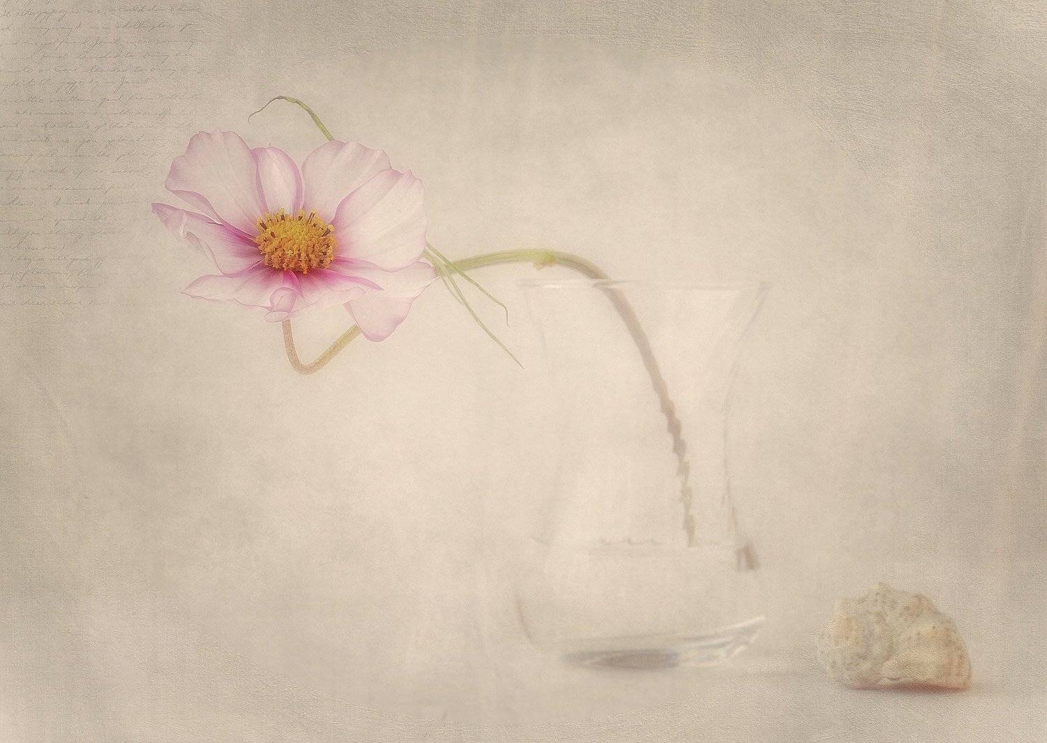 натюрморт,лето, Наталия К