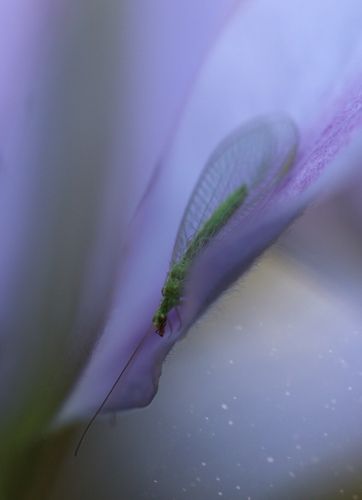 В тёплых тонах 