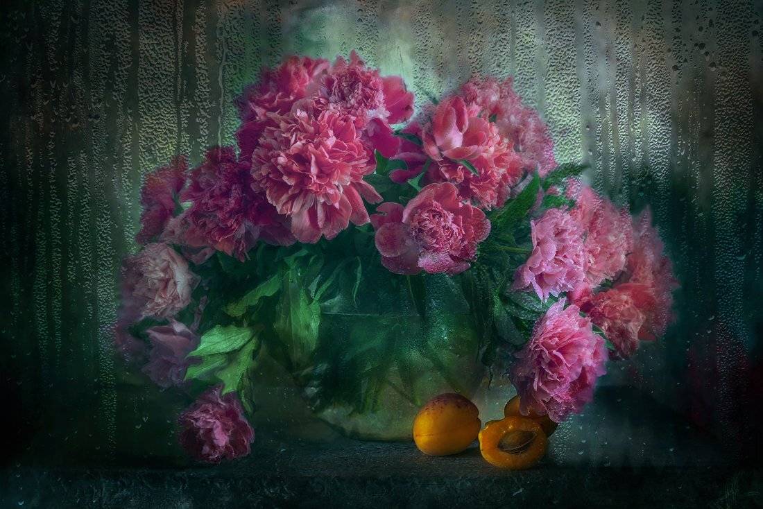 , Елена Брежицкая