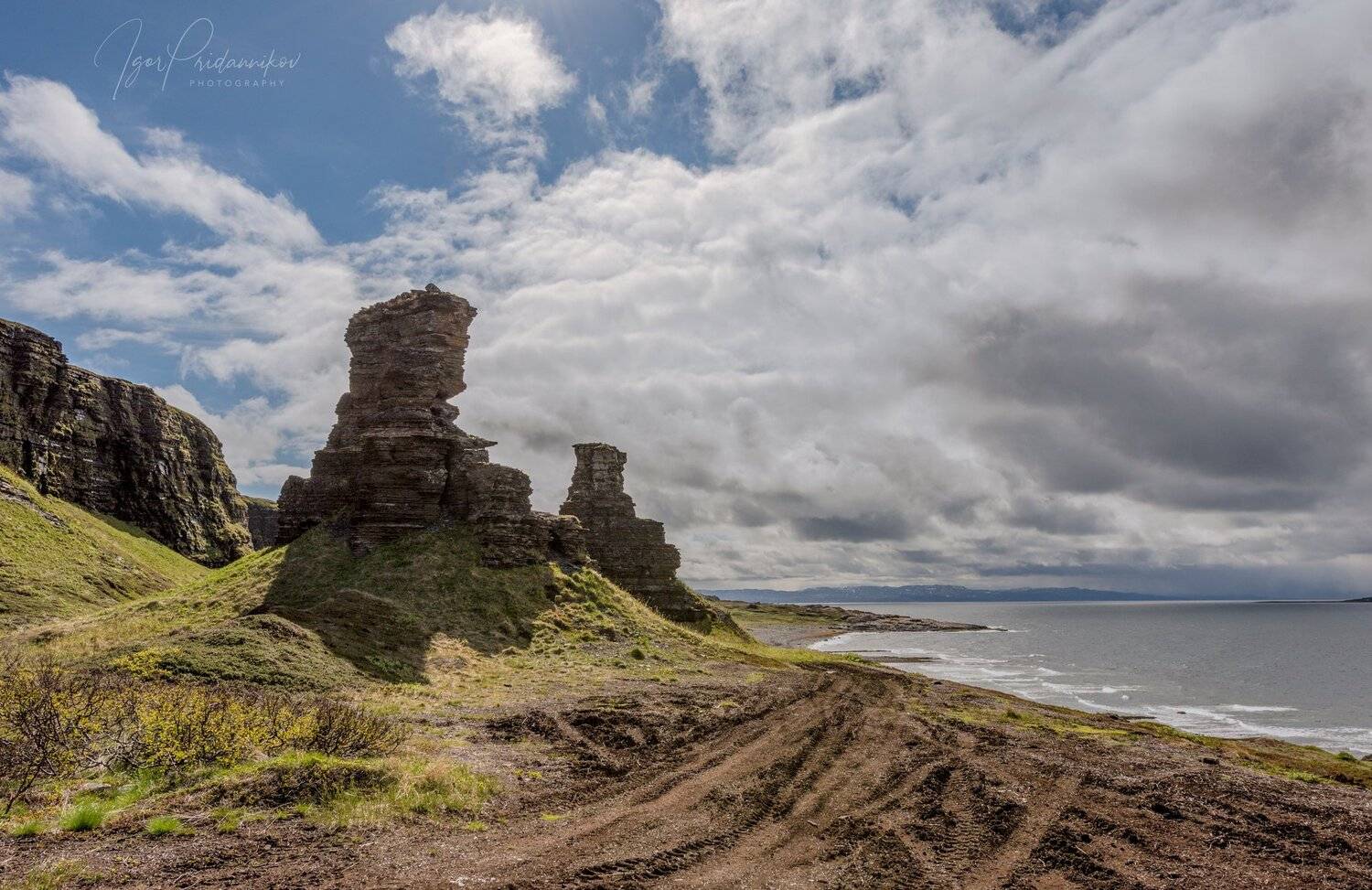 , Игорь Приданников