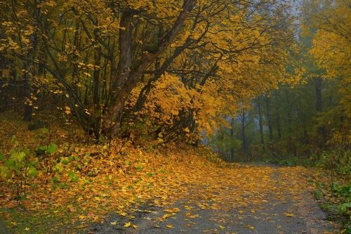 Осеннее утро в Домбае