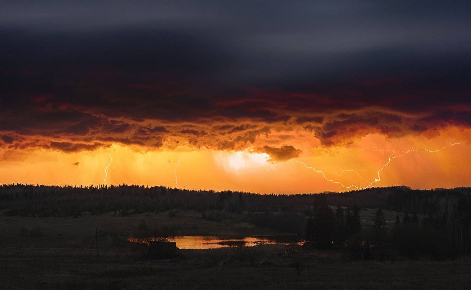 , Даниил Мелехов