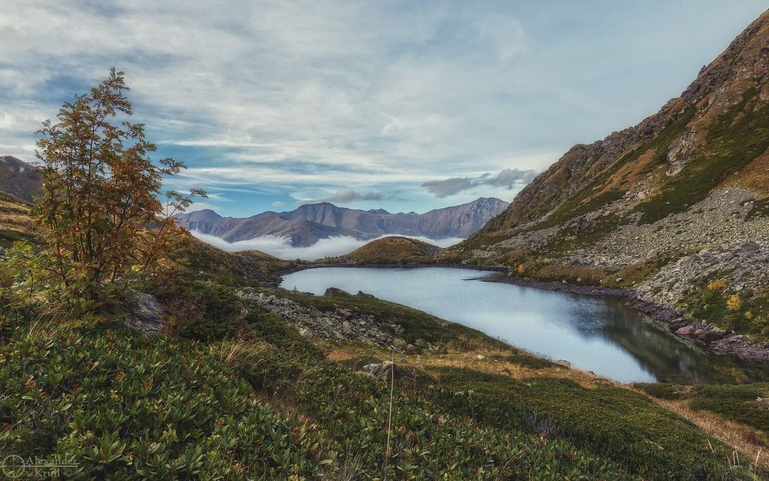 , Александр Круль
