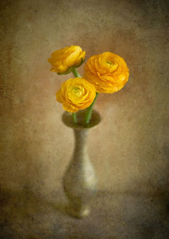 лютик, лютики, букет, желтые, в вазе, цветы, подарок, ретро, текстура, стилизация Желтые лютики фото превью