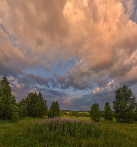 В начале июля.