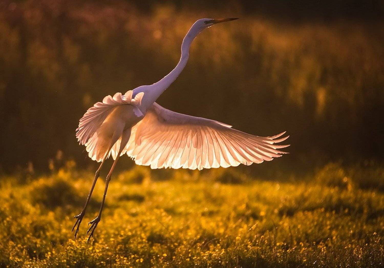 , Вячеслав Мищенко