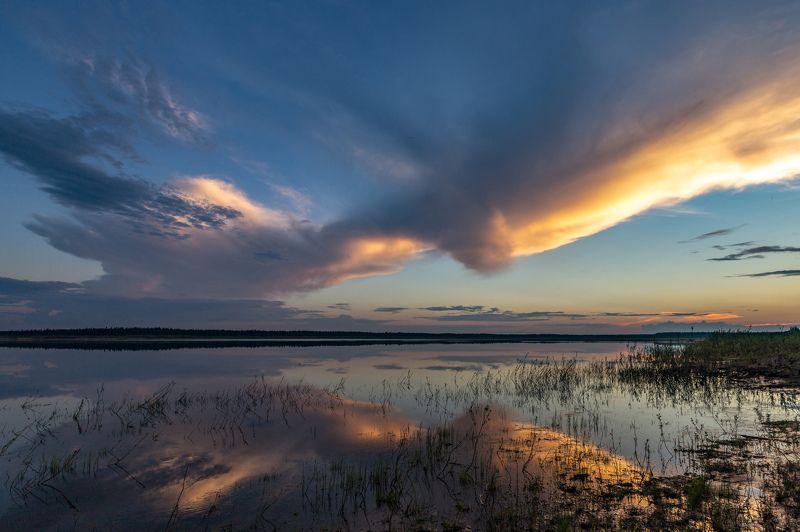 печора Ночи белые фото превью