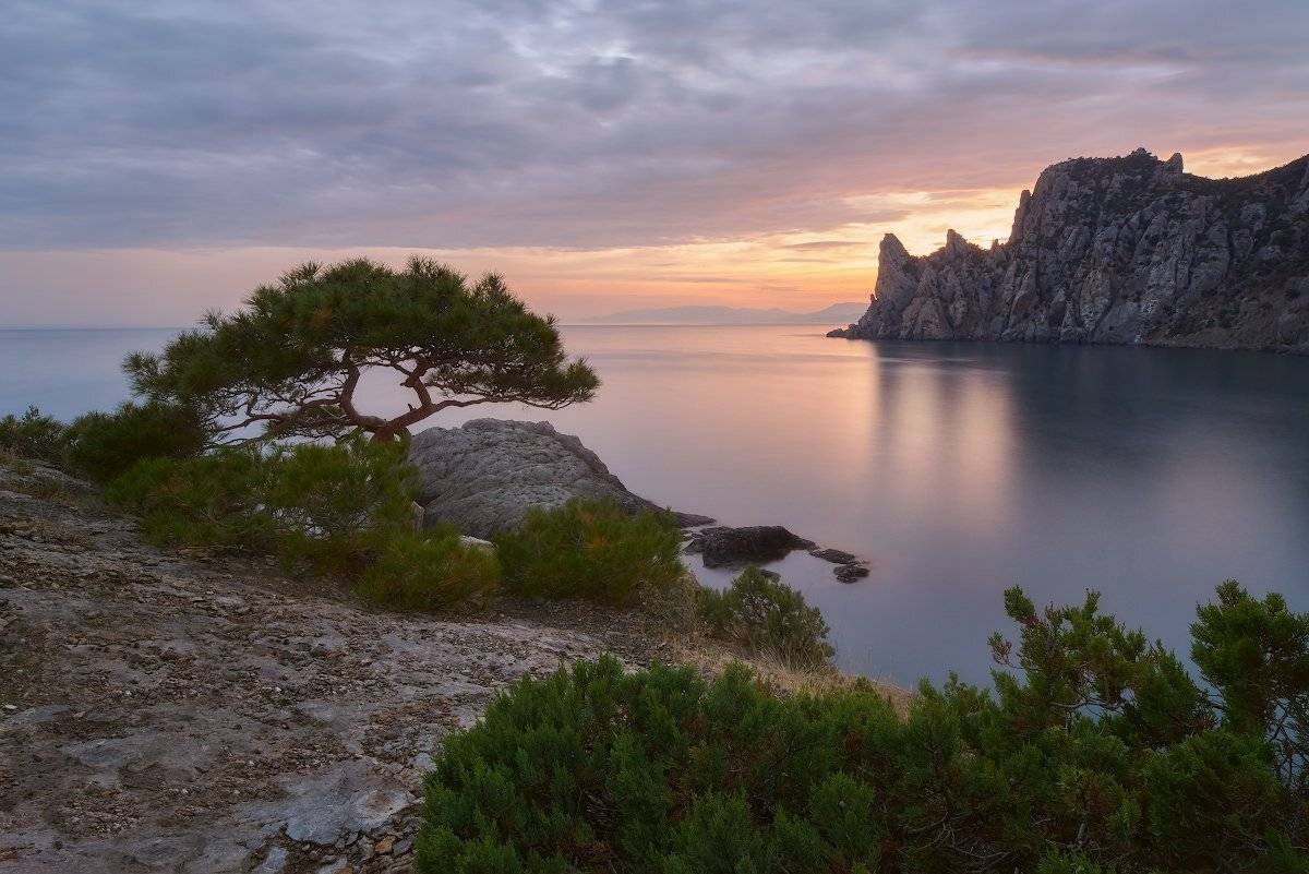 , Романский Владимир (NikonZoom)