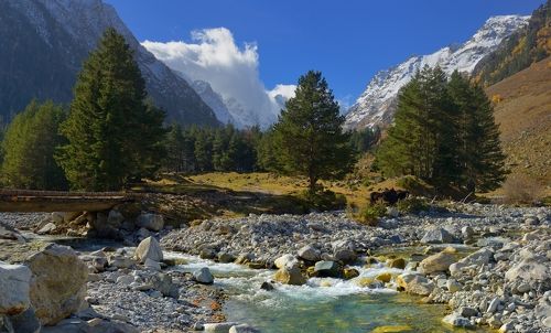 Осеннее утро