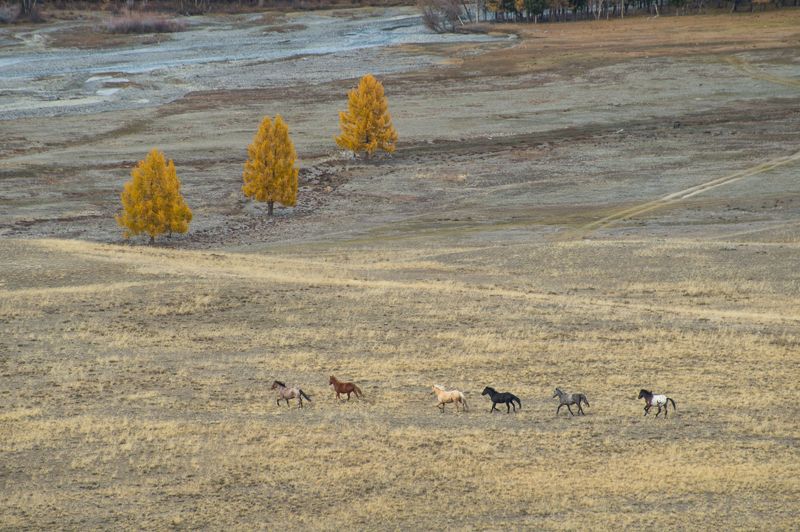 *** фото превью