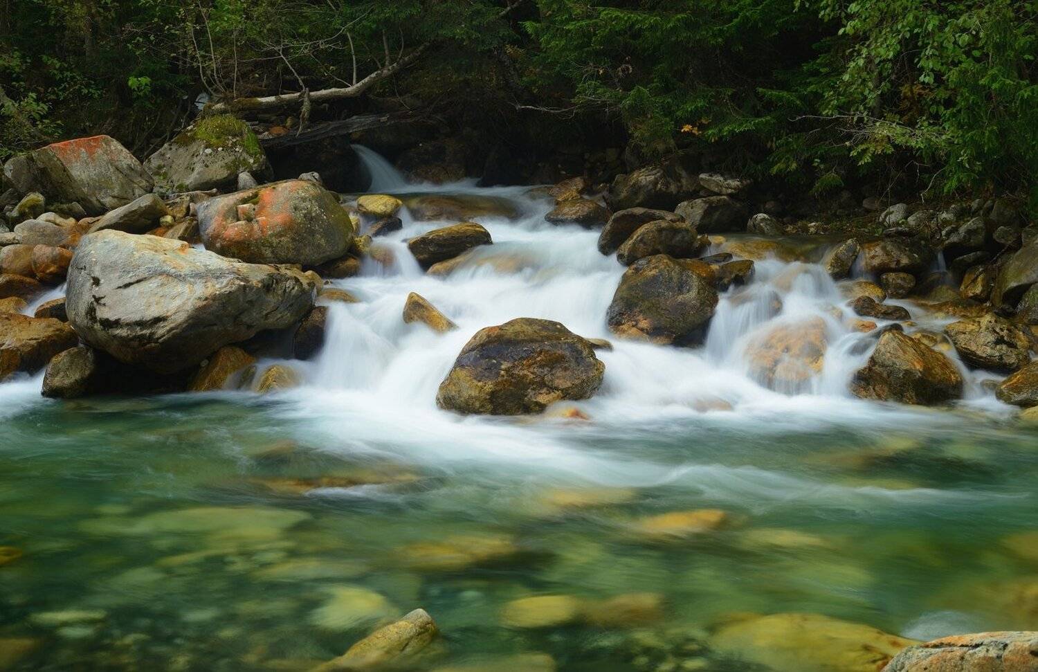 горы осень домбай река гоначхир, Александр Жарников