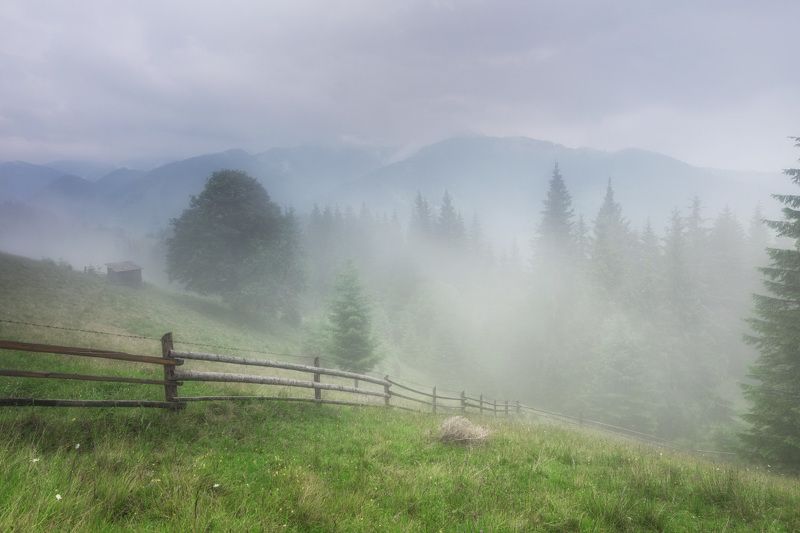 украина карпаты дземброня туман Дземброня фото превью