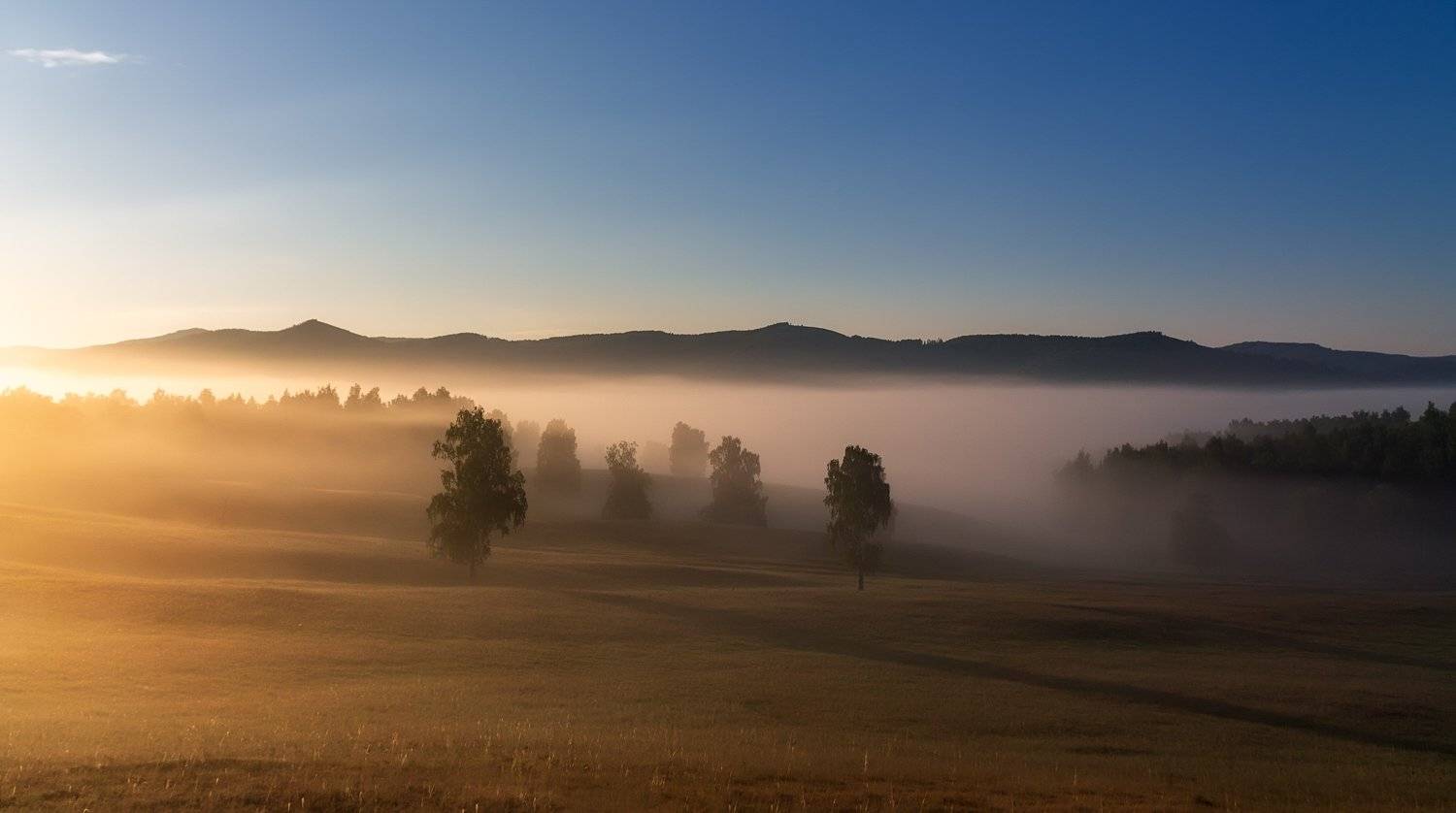 утро, рассвет, восход, туман, лучи, Леонид Максименко