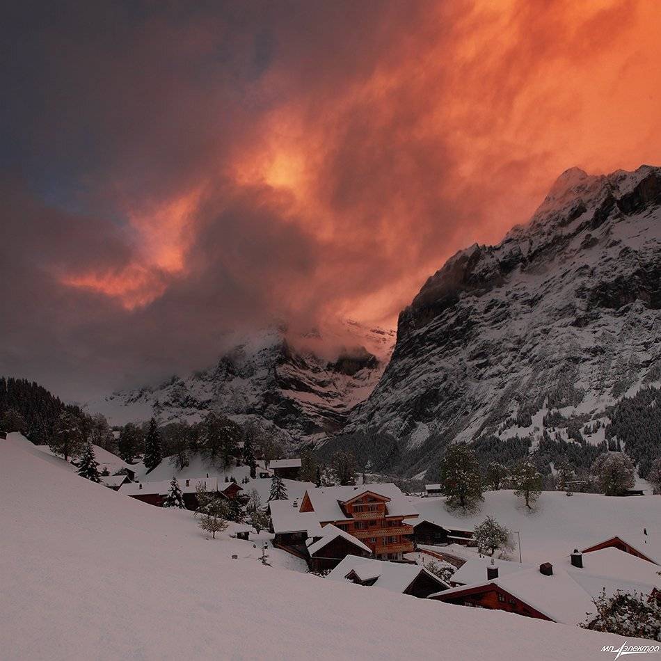 swiss, Матвеев Николай