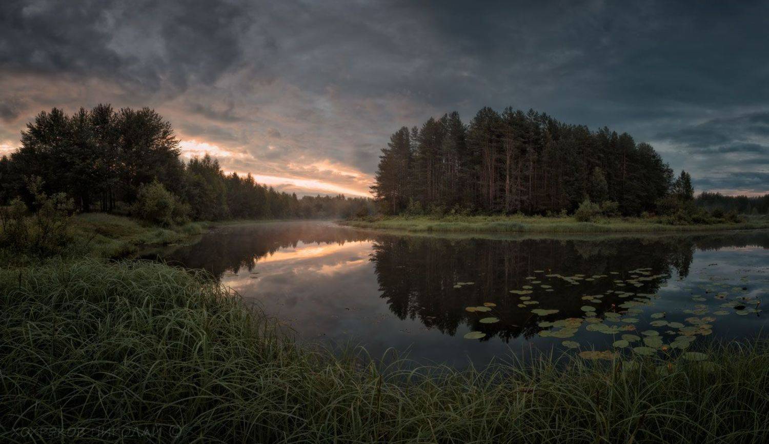 , Хохряков Николай