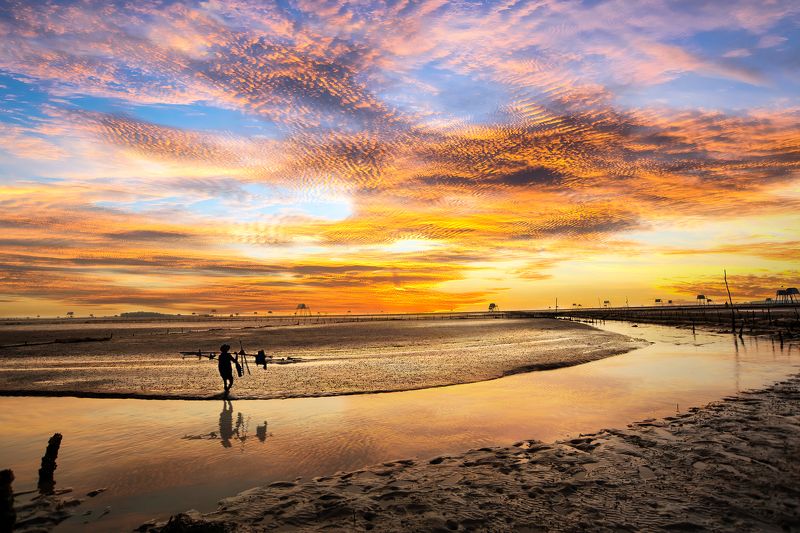 Dong Chau фото превью