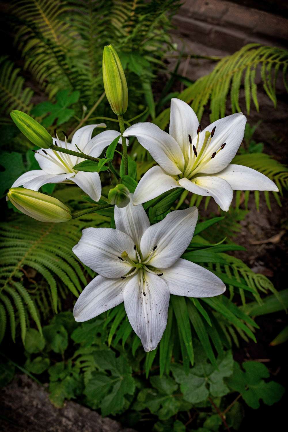 , Владимир Гамаюнов