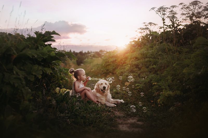 Одним чудесным летним вечером ... =) фото превью