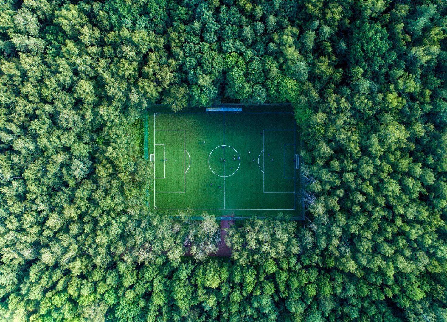 football, forest, nature, Сергей Луканкин