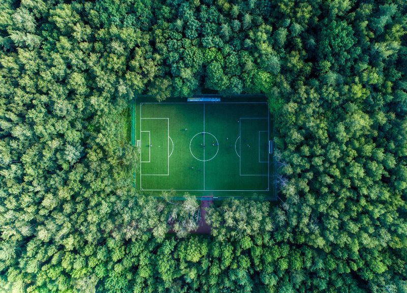 football, forest, nature Hidden football фото превью