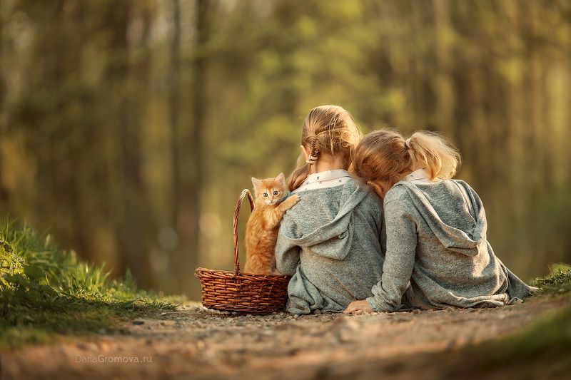 боке, натюрморт, дарья громова, фотография, фото, фотоарт, фотограф, закат, портрет, детский портрет, дети, ребенок, котенок, парк Три друга фото превью