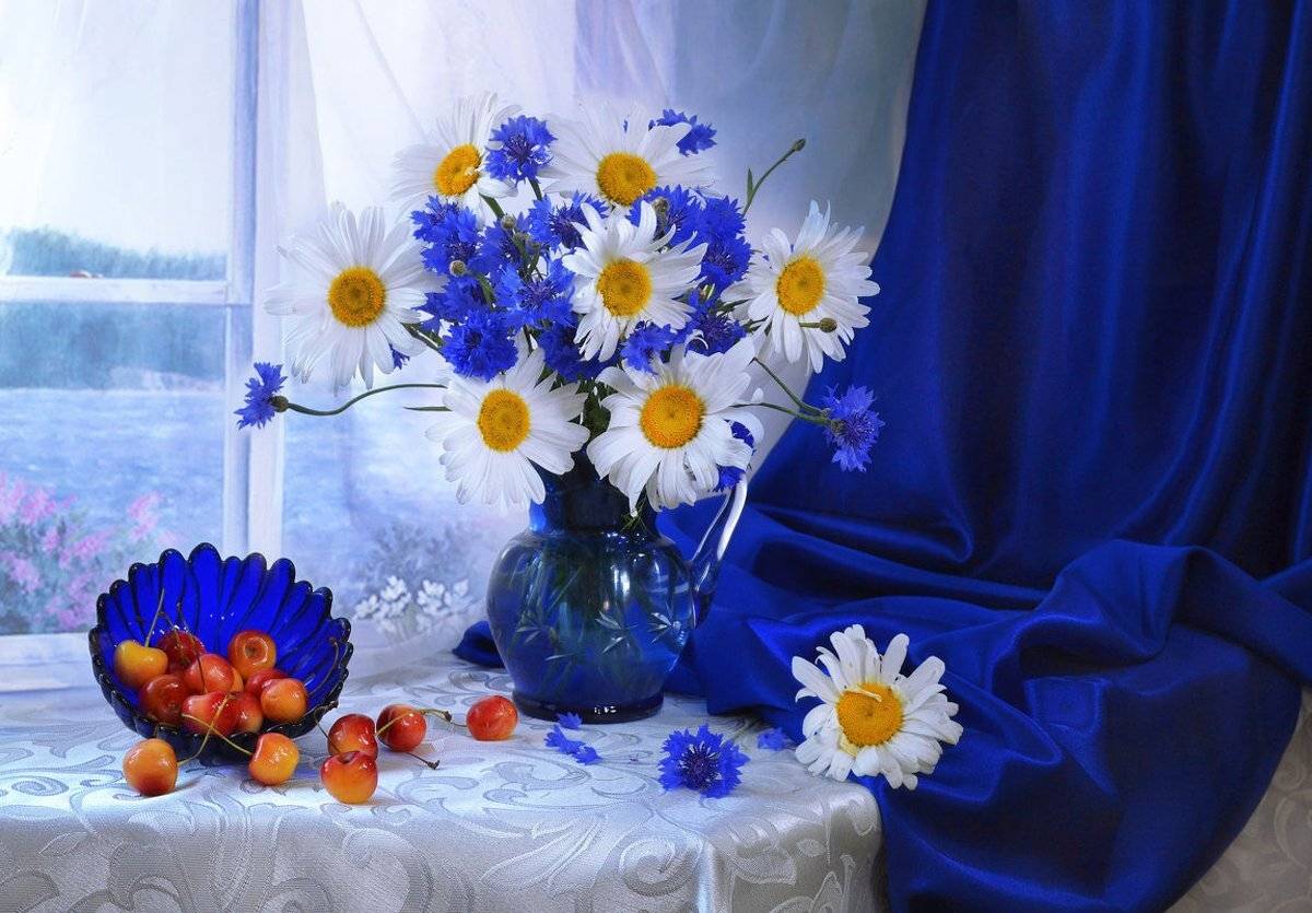 still life,натюрморт,черешня, фото натюрморт, стихи, ромашки, май, весна, васильки, Колова Валентина