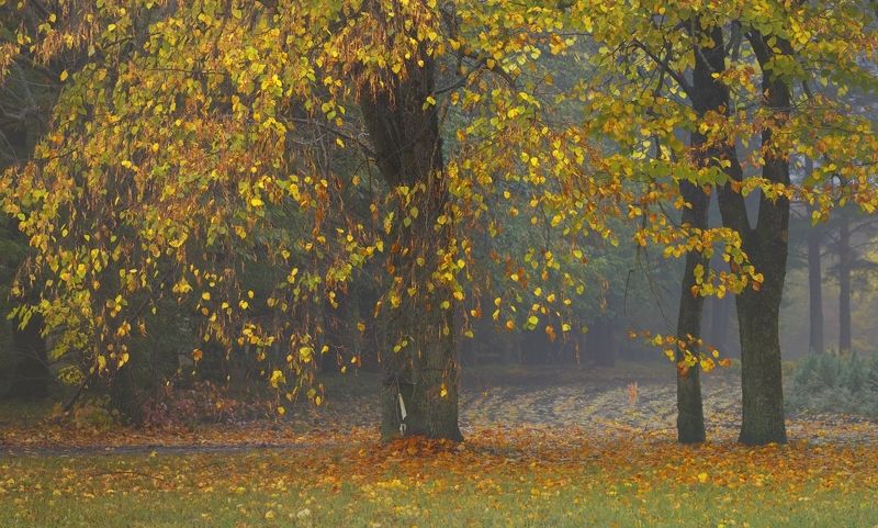 Осенняя пора фото превью