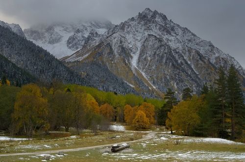 Осенний Аксаут