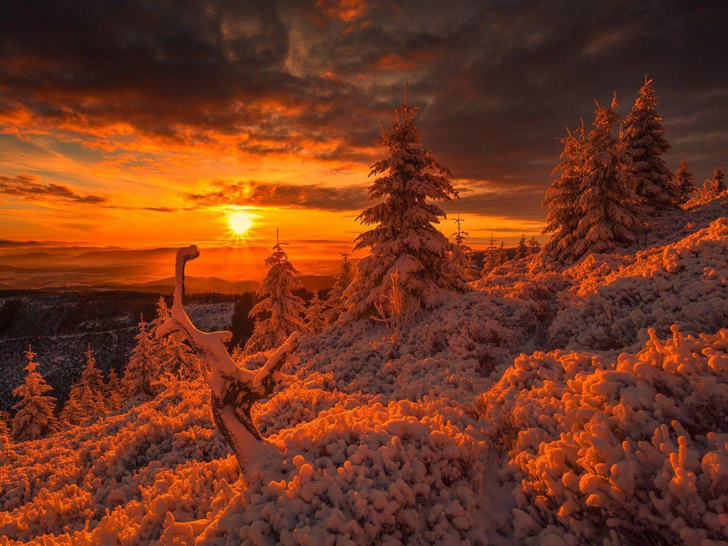 landscape,canon,sunrise,winter, Iza i Darek Mitręga