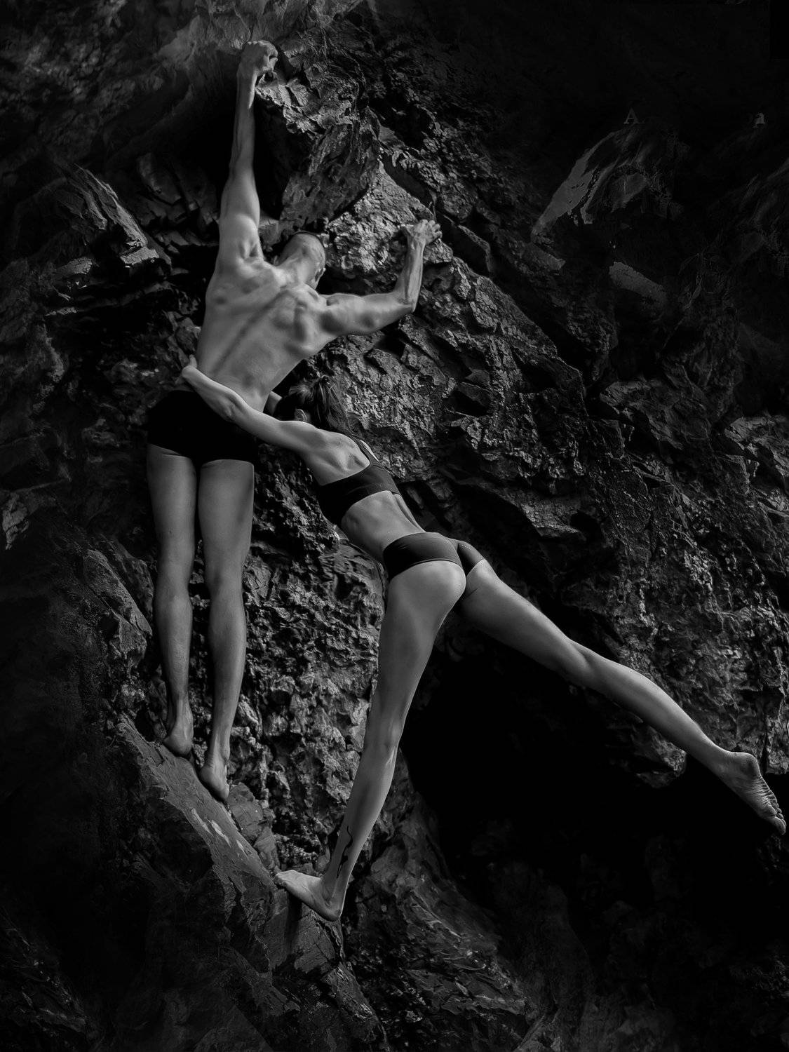 , Терра Алена