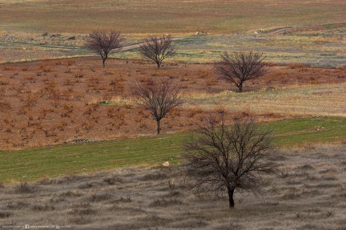Studying Arithmancy - Изучая арифмантию