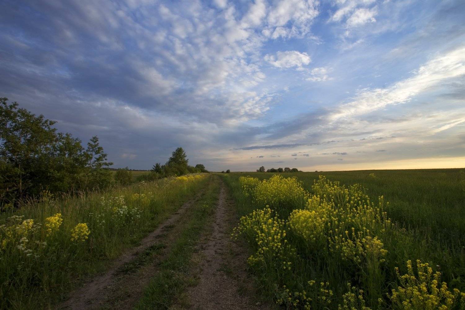 , Александр Нагибин