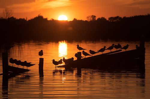 Вечер на Волге