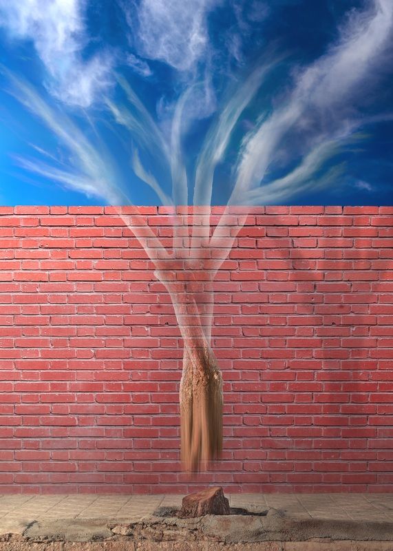 The ghost of tree фото превью