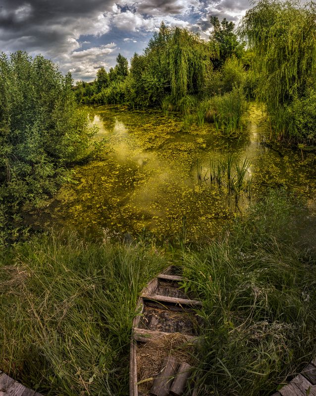 Golden River фото превью