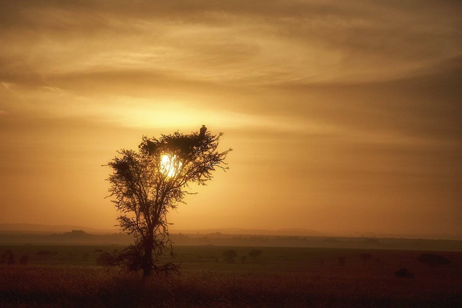 , Рашид Усманов