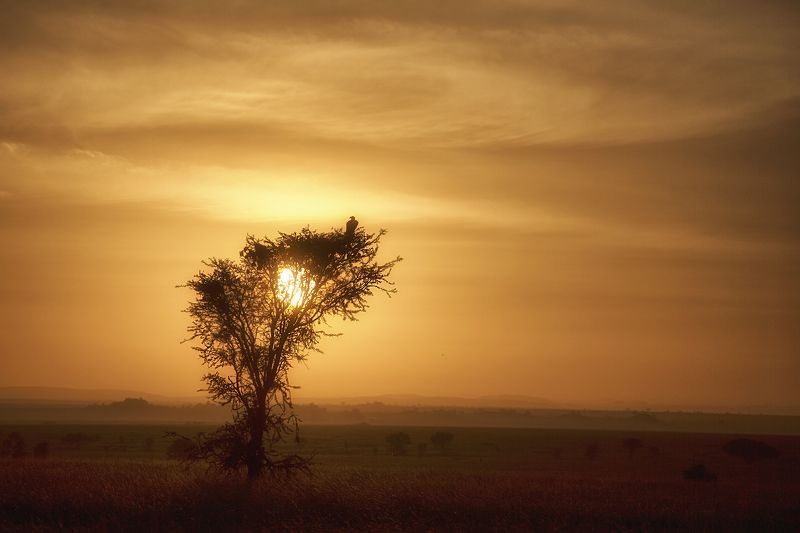 Ночной дозор фото превью