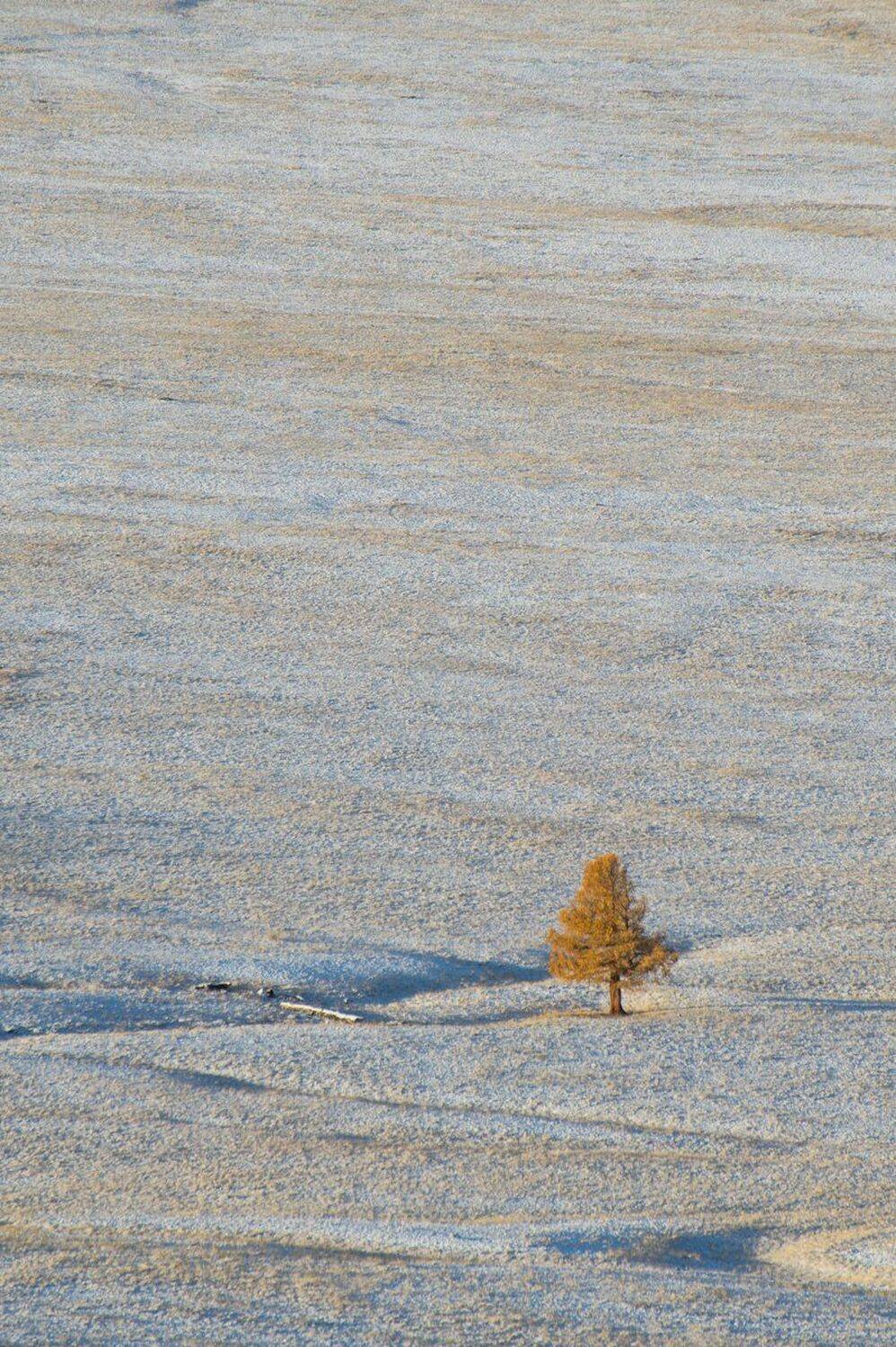 , Блинов Василий