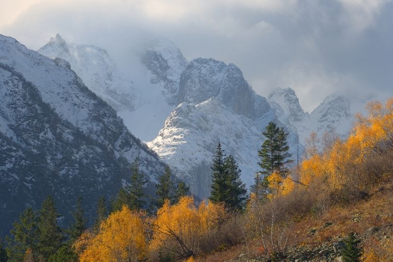 Гондарай фото превью