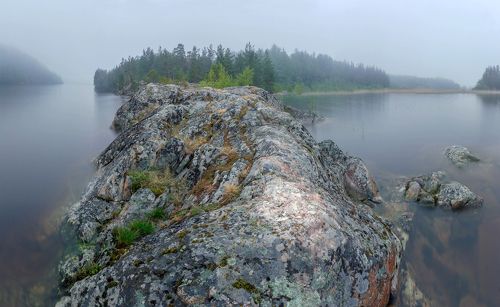 Туманное утро на Ладоге. Карелия. Июнь