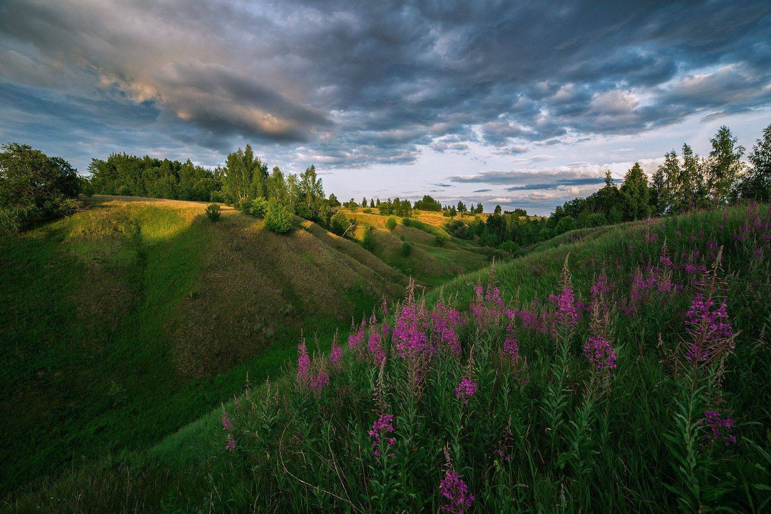 пейзаж, иванчай, закат, samyang, Артемий Тузов