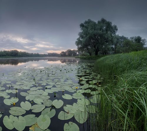 Перед рассветом