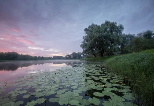На рассвете