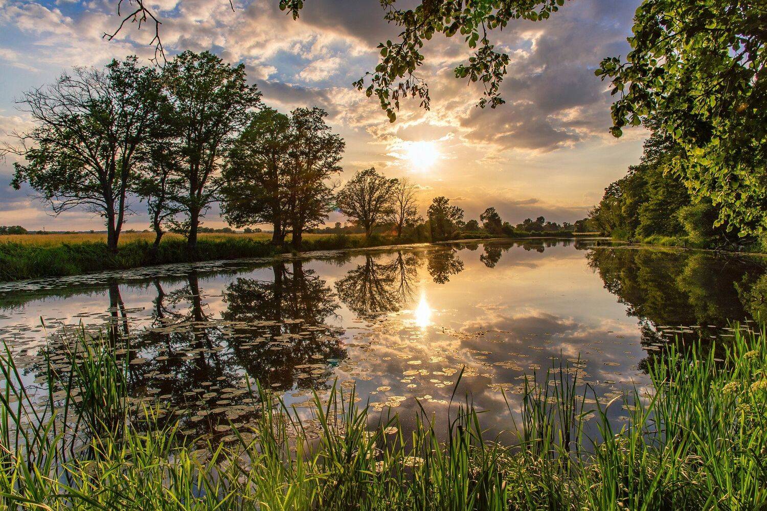 sunset national unteres odertal mirror lake river water sun sunlight, Radoslaw Dranikowski
