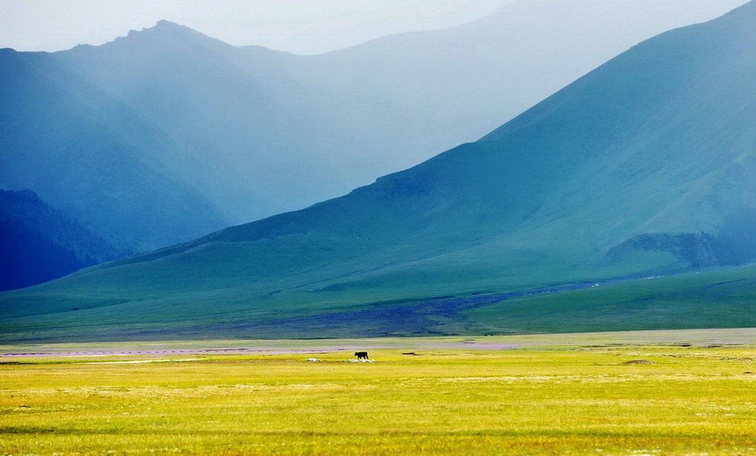 , Inkol Yu  유인걸